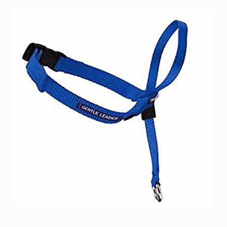 PetSafe Gentle Leader Head Collar with Training DVD