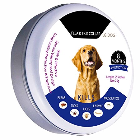 Natural Essential Oil Flea and Tick Collar for Dogs Protection Control & Enhanced Defense (8months, 25inches)