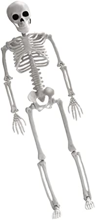 DOITOOL 1Pc Halloween Skeleton Unique Creepy Skeleton Halloween Decorations Movable Skeleton Decor for Halloween or Prank Themes White