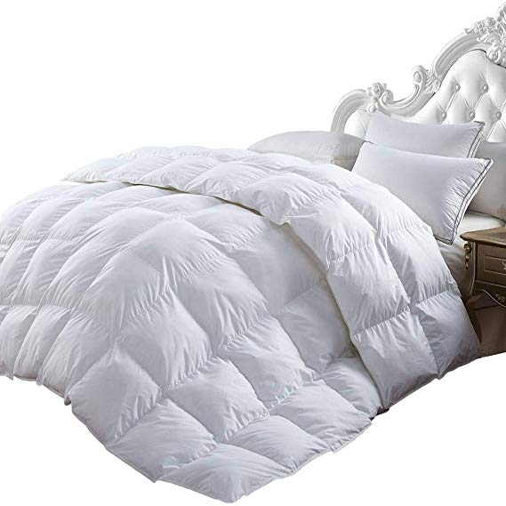 Goose Down Comforter 1000 Thread Count Egyptian Cotton, 750fp, 50oz, Queen Size, White, 1000TC