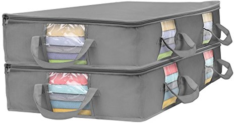 Sorbus Foldable Storage Bag Organizers, Large Clear Window & Carry Handles, Great for Clothes, Blankets, Closets, Bedrooms, and more (Rectangle Storage Bag - 2 Pack, Gray)