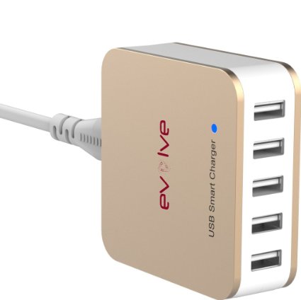 5 Port High Speed USB Charger 40Watt 8Amps with Power IQ Technology - Perfect for all iOS and Android devices and every other device with an USB port Pocket Size