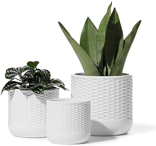 Ceramic Planters - POTEY 6/5/4 Inch Indoor Ceramic Plant Pots with Watering Drainage Holes and Plugs for House Plants, Flowers, Succulents, Orchid, Snake Plant, Modern Home Decor - 803, White