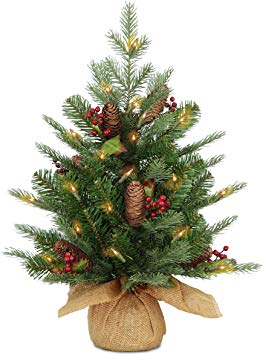 National Tree 2 Foot Feel Real Nordic Spruce Tree with Cones, Red Berries and 50 Battery Operated Warm White LED Lights with Timer in Burlap Base (PENS1-355-20-B1)