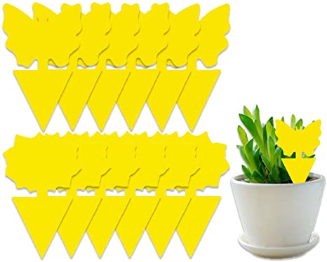 COSYWORLD 12 Pack Yellow Sticky Traps for Indoor/Outdoor Use, Gnat Trap for Flying Plant Insect Such as Fungus Gnats, Whiteflies, Aphids, Leafminers - Disposable Glue Fruit Fly Traps