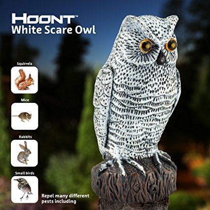 Hoont Scarecrow Realistic Owl with Flashing Eyes and Frightening Sound – Motion Activated with Multi-directional Sensors - Frightens Birds, Squirrels, Raccoons and other Pests Out of Your Property