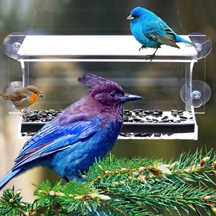 Window Bird Feeder By Ipsilone- Large Acrylic Window Feeder- Wide Opening- Easy Cleaning & Refilling- Drain Holes - Squirrel Proof- 4 Heavy Duty Suction Cups- Clear Feeder For Bird Watching From Home