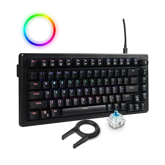 Kreo Hive Anti-ghosting RGB Gaming Keyboard | 75% Tenkeyless Wired Mechanical Keyboard with RGB LED Backlight Blue Switches & All Black Key Caps | Detachable USB Type C Cable | Compatible with Mac & Windows (Blue Switches, RGB Backlight)