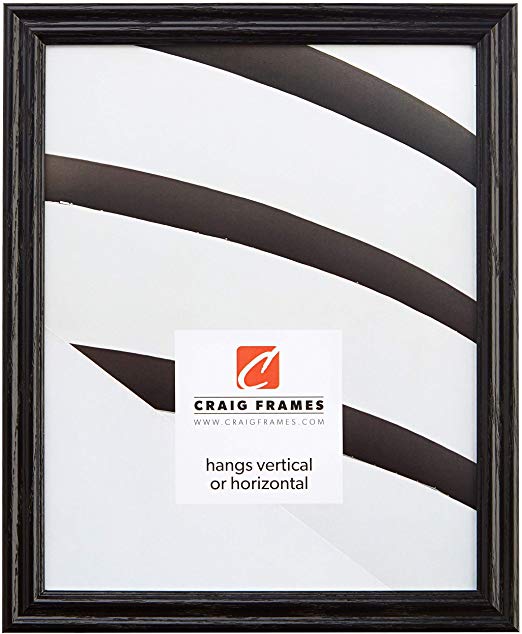 Craig Frames 200ASHBK2027AAC 0.75-Inch Wide Picture/Poster Frame in Wood Grain Finish, 20 by 27-Inch, Black