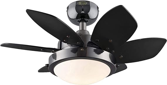 Westinghouse Lighting 7224600 Quince LED Ceiling Fan with Light, 24 Inch, Gun Metal