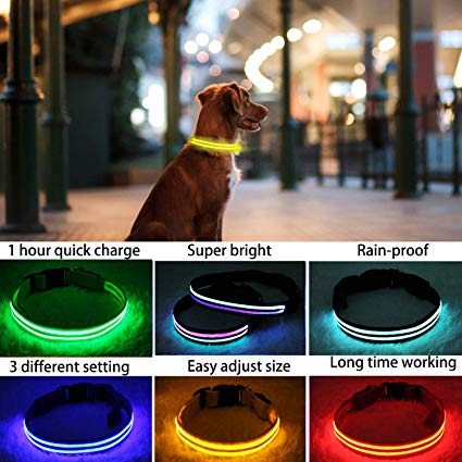 PPWW Light Up LED Dog Collar - Super Bright - USB Rechargeable, Rainproof - Perfect Use in Rainy Day
