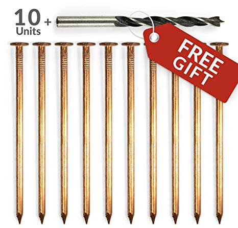 4 inch Copper Nails for Tree Treatment - Fungicides for Plants or Trees Stumps and Roots Killer - Pack of 10 Solid Copper Nail Spikes with Free Drill bit