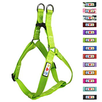 Pawtitas Pet Reflective Step in Dog Harness Reflective Vest Harness Comfort Control Training Walking Your Puppy Harness/Dog Harness