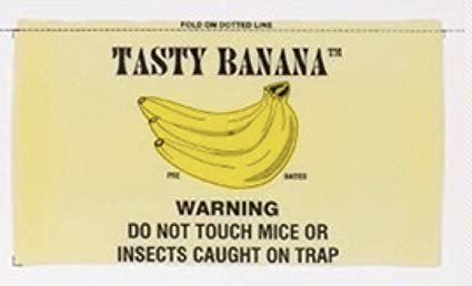 Catchmaster 72Tb Tasty Banana 4 Pound Mouse Glue Board (72 Per Case)