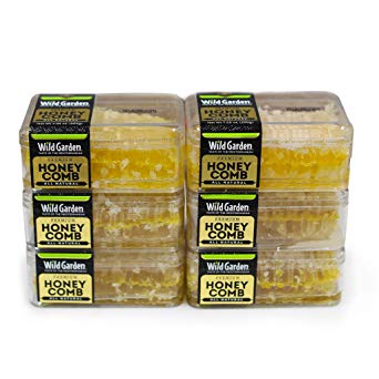 Wild Garden 100% Pure Raw Gourmet Honeycomb, All-Natural, No Additives, No Preservatives, Fresh From The Farm! (Pack of 6)