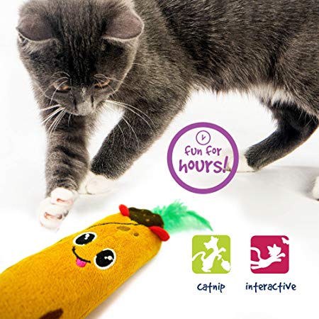 Pet Craft Supply Funny Enticing Crinkle Pouncing Cuddling Chasing Catnip & Silvervine Interactive Boredom Relief Cat Toys