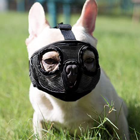JYHY Short Snout Dog Muzzles- Adjustable Breathable Mesh Bulldog Muzzle for Biting Chewing Barking Training