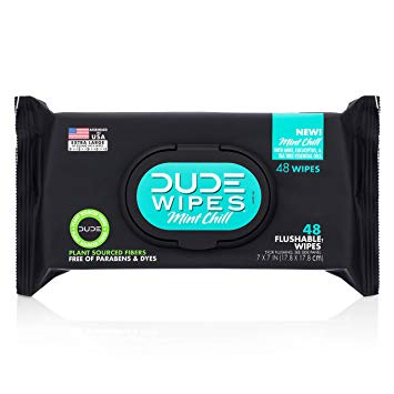 Dude Wipes Flushable Wet Wipes Dispenser, Mint Chill, 48Count - Scented Wet Wipes with Vitamin-E, Aloe, Eucalyptus & Tea Tree Oils for at-Home Use, Septic & Sewer Safe