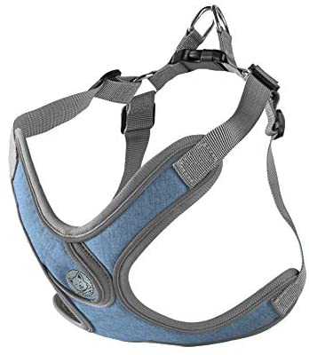 Alcheringa Dog Walking Harness Vest Adjustable Padded Comfortable Breathable Secure Reflective & Lightweight with Lead Included (XS)