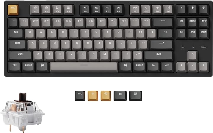 Keychron C1 Pro Wired Custom Mechanical Keyboard, TKL Layout QMK/VIA Programmable OEM Profile Double-Shot PBT Keycaps White LED Backlight with K Pro Brown Switch for Mac Windows Linux