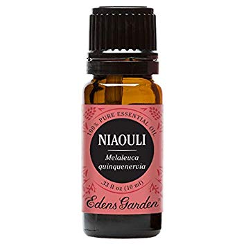 Edens Garden Niaouli 10 ml 100% Pure Undiluted Therapeutic Grade Essential Oil GC/MS Tested