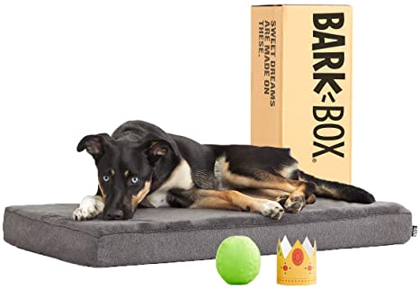 BarkBox Memory Foam Platform Dog Bed | Plush Mattress for Orthopedic Joint Relief | Machine Washable Cuddler with Removable Cover and Waterproof Lining | Includes Squeaker Toy | Grey | Medium