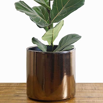 Indoor Flower Pot | Large Modern Planter, Terracotta Ceramic Plant Pot - Plant Container Great for Plant Stands (10.5 inch, Bronze)