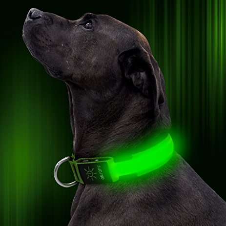 Illumifun LED Dog Collar USB Rechargeable Adjustable Nylon Webbing Flashing Light Up Collar with D-ring Makes Your Pet Visible Safe and Seen for Small Medium Large Dogs