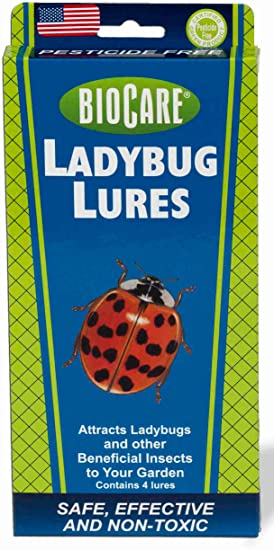 BioCare Ladybug Lures, Nontoxic and Pesticide-Free, Made in USA, 4 Count, Brown - S702