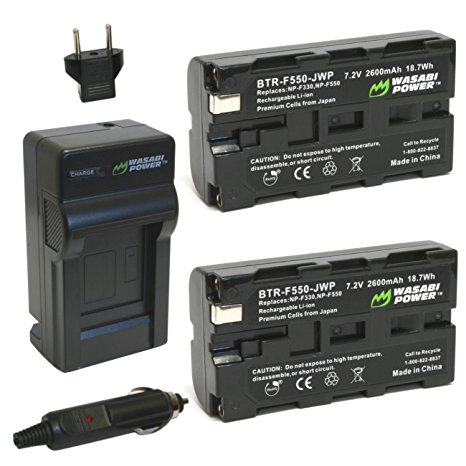 Wasabi Power Battery (2-Pack) and Charger for Sony NP-F330, NP-F530, NP-F550, NP-F570 and Sony CCD-RV100, CCD-RV200, CCD-SC5, CCD-SC6, CCD-SC55, CCD-SC65, CCD-TRV66, CCD-TRV67, DCM-M1, DCR-SC100, DCR-TR7, DSC-CD250, DSC-CD400, DSC-D700, DSC-D770, D-V500, EVO-250, GV-A100, GV-A500, HDR-AX2000, HDR-FX7, HDR-FX1000, HVR-M10P, HVR-M10U, HVR-V1J, HVR-V1U, HVR-Z7U, HXR-NX5U