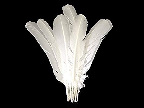 Moonlight Feather | 50 Pieces - Turkey Feathers - White Turkey Round Wing Quill Large Wholesale Feathers (Bulk) Halloween, Indian Craft, Wedding, Angel Wing Feathers