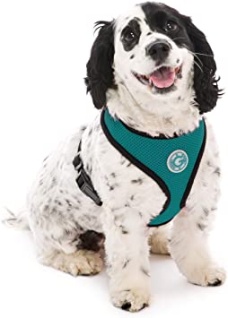 Gooby - Soft Mesh Harness, Small Dog Harness with Breathable Mesh