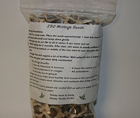 2.5 oz (Apx 250) Moringa Seeds - Paisley Farm and Crafts