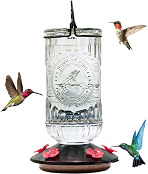 Nature's Rhythm Bird Feeder Vintage Transparent Antique Glass Bottle Hummingbird Feeder 5 Feeding Ports and 28-Ounce Nectar Capacity Per Feeder