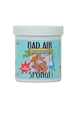 Bad Air Sponge