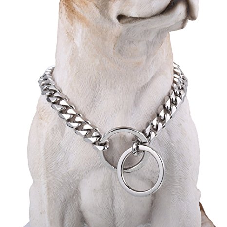 Stainless Steel Dog Collar, 10mm Fancy Slip Chain - Cool   Best for Large Dogs: Pitbull, Doberman, Bulldog, Rottweiler & more!