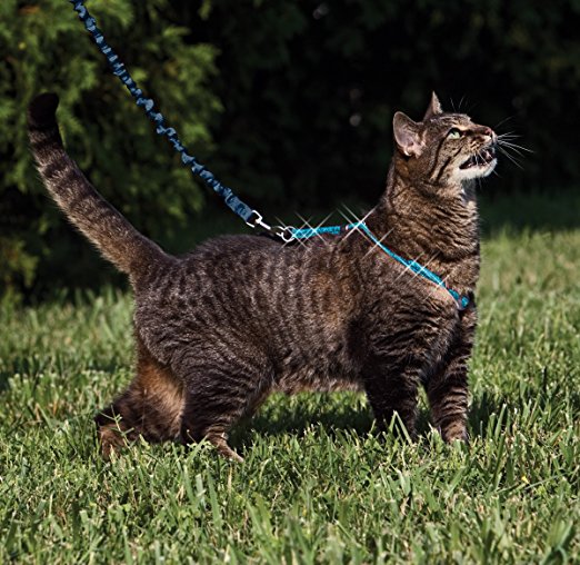 PetSafe Come With Me Kitty Cat Harness and Leash Size:Medium Color:Glitter Blue