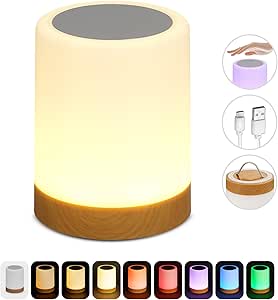 Globe Electric LED Integrated Rechargeable Multicolor Portable Touch Lamp with Included USB Cable