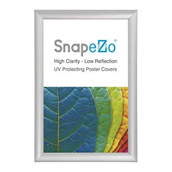 SnapeZo Diploma Frame 11x17 Inch, Silver 1" Aluminum Profile, Front-Loading Snap Frame, Wall Mounting, Sleek Series