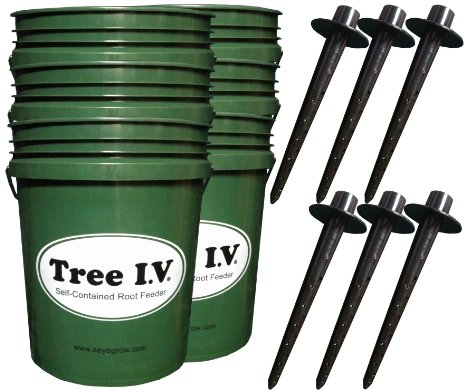 Tree I.V. Watering System for 6 new Trees