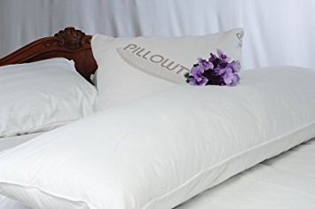 Pillowtex ® White Goose Feather and Down Body Pillows - 20" x 72"