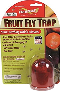 RESCUE! FFTR Non-Toxic Reusable Fruit Fly Trap