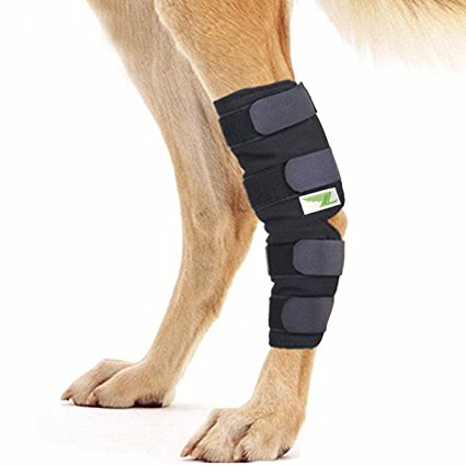 Dog Rear/Front Leg Joint Brace Heals Hock Wrap Sleeve for Canine