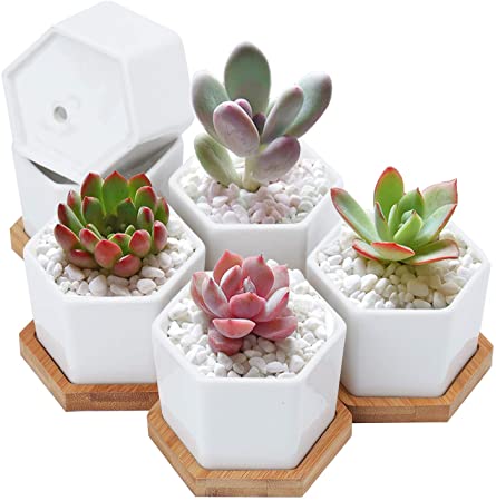 Foraineam 6 Pack Mini Succulent Plant Pots, 2.76 inch Hexagonal White Ceramic Succulent Cactus Planters with Bamboo Tray