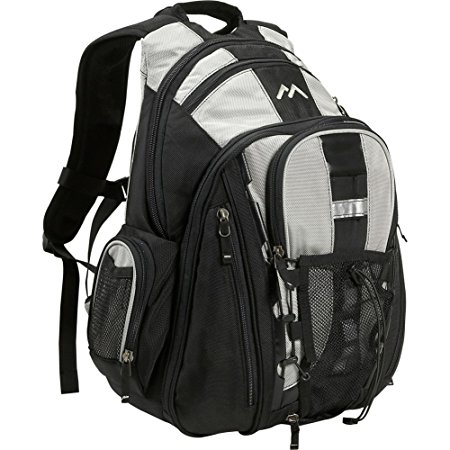 Brenthaven 2071102 Expandable Trek Backpack for Notebooks / Ultrabook up to 15.6-Inch  - Titanium