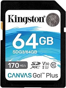 Kingston 64GB SDXC Canvas Go Plus 170MB/s Read UHS-I, C10, U3, V30 Memory Card (SDG3/64GB)