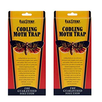 Springstar Oak Stump Codling Moth Trap S1506 (2-pack)