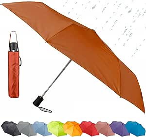 Lewis N. Clark Travel Umbrella: Windproof & Water Repellent Fabric, Automatic Open Close & 1 Year Warranty, Rust