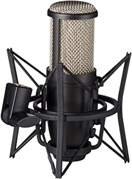 AKG Pro Audio Perception 220 Professional Studio Microphone