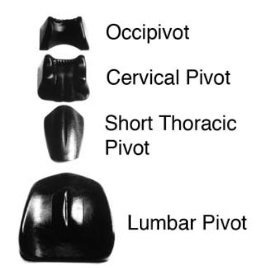 Pivotal Therapy System from Chattanooga Group, 4500,Pivotal Therapy Set